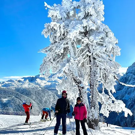 Uli's Huette Im Alpendorf Dachstein West Annaberg-Lungötz